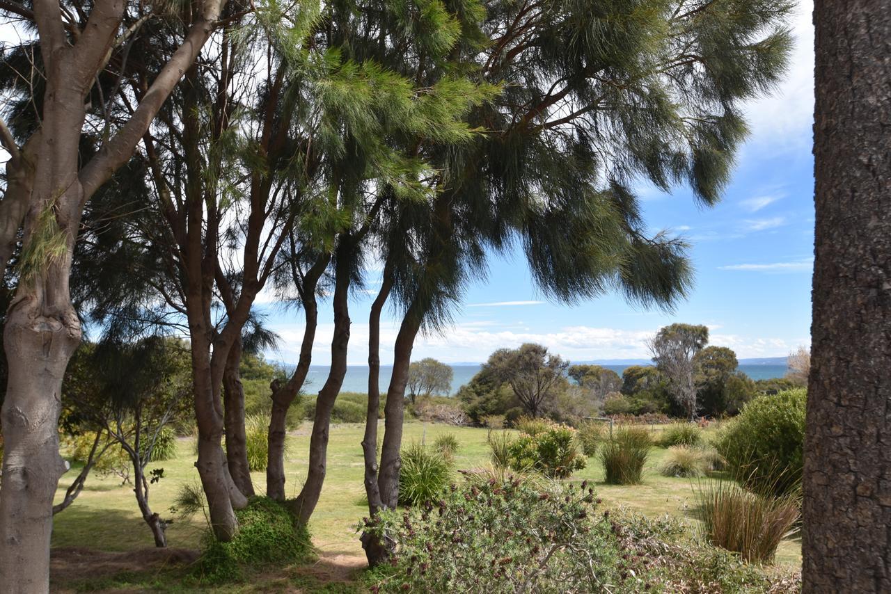 Вілла Freycinet Sanctuary @ Oyster Bay Колс-Бей Екстер'єр фото